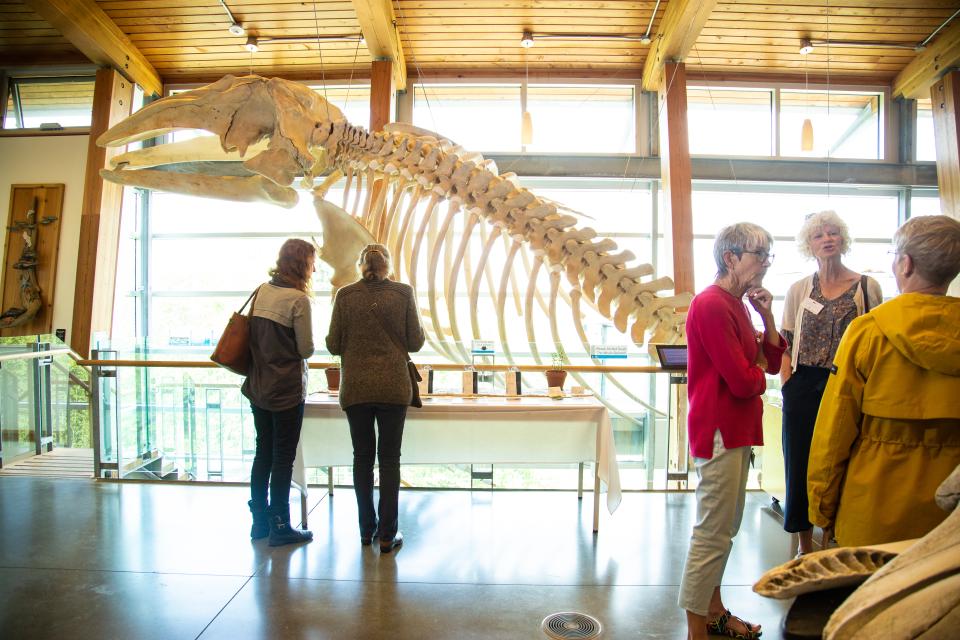 students listening to teacher in classroom